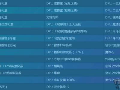 DPL比赛装备时装限制规则 DPL比赛奖励一览