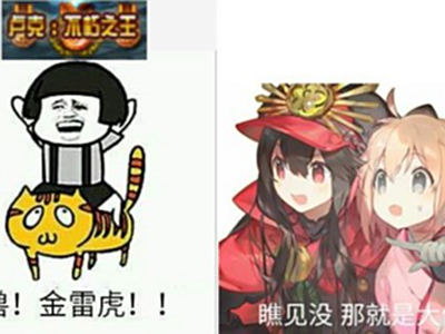 闲谈从下水道逆袭的稀有职业 骑老虎的喵帝
