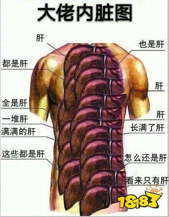 【肝帝必备的"休闲游戏" 你变秃了也变强了】 肝帝