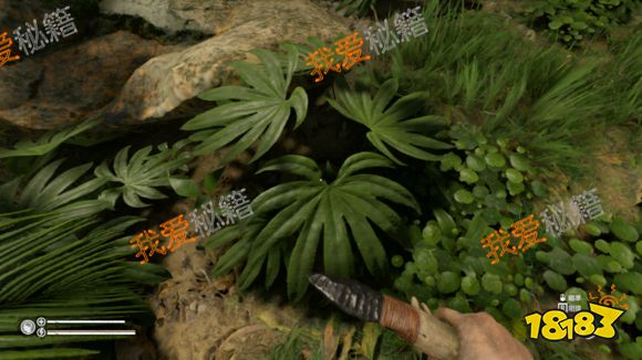 丛林地狱greenhell全植物图鉴汇总[多图]