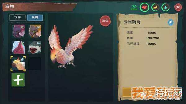 创造与魔法云斑鹦鸟位置及饲料配方分享多图