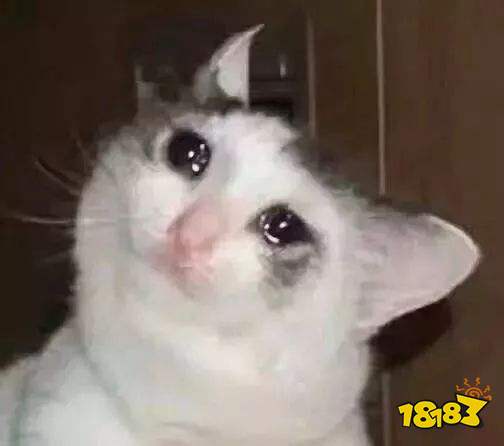 抖音流泪猫猫头表情包
