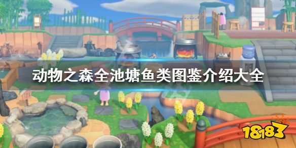 《集合啦动物森友会》池塘鱼类图鉴汇总 全池塘鱼类图鉴介绍大全