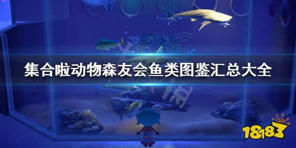 集合啦动物森友会鱼类图鉴汇总大全     中华绒螯蟹