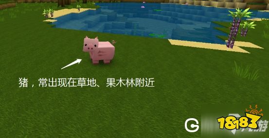 《迷你世界》动物都出现在什么地方 动物位置分.