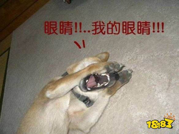 辣眼睛什么意思 辣眼睛表情包