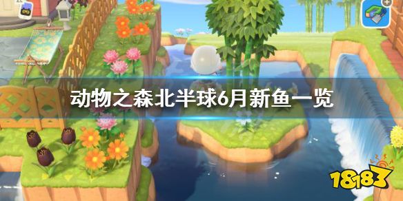 《集合啦动物森友会》北半球6月有什么新鱼 北半球6月