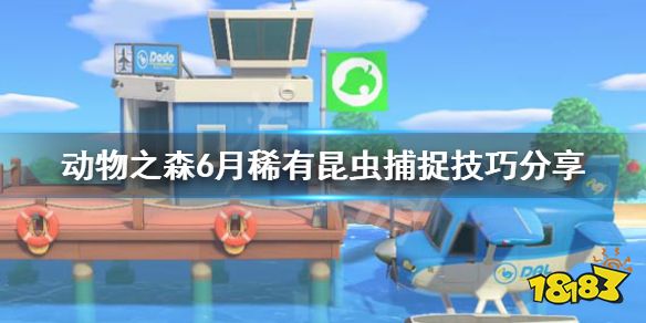 集合啦动物森友会大角花金龟怎么抓6月稀有昆虫捕捉技巧分享