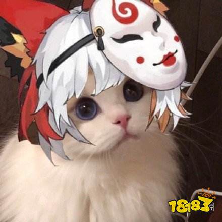 《阴阳师》猫咪接头头像大全 式神kiwi猫咪头像分享_18183.com