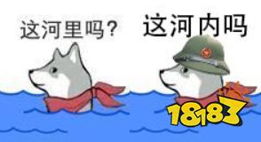这河里吗?这河狸吗?这何丽吗?