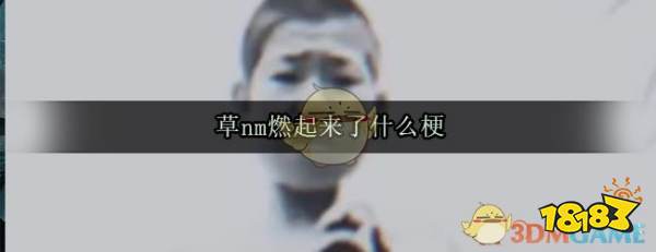 草nm燃起来了什么梗