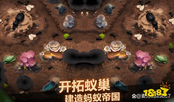小小蚁国宣传图