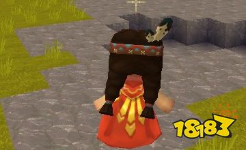 迷你世界镶金披风效果图