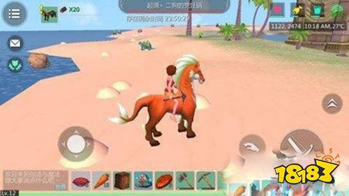 创造与魔法坐骑截图2