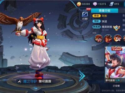 王者荣耀训鹰少女娜可露露解析 飞鹰突袭一击必杀