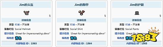 泰拉瑞亚吉姆的服装