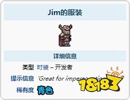 泰拉瑞亚吉姆的服装