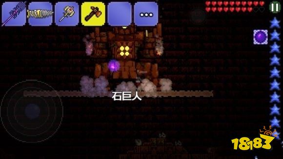 泰拉瑞亚甲虫套