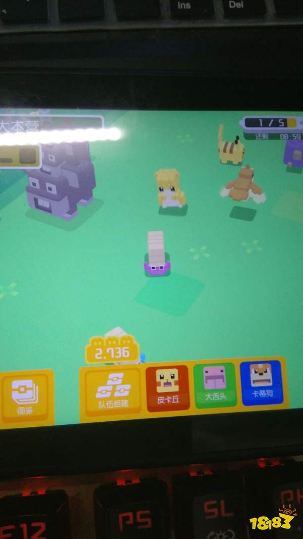 宝可梦探险寻宝宾果奖励是什么?个体值金锅介