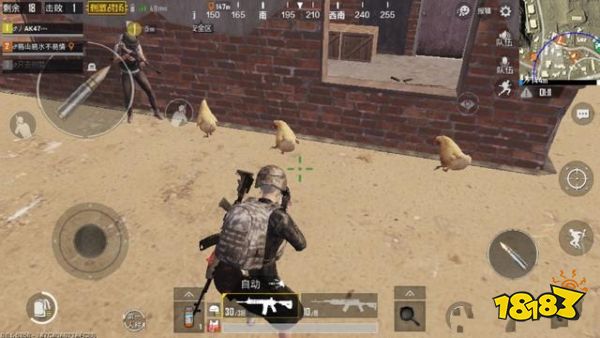 和平精英抓鸡怎么绝地求生辅助抓 可以抢别人的鸡吗
