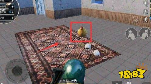 和平精英鸡有什和平精英外挂么用 鸡的作用介绍