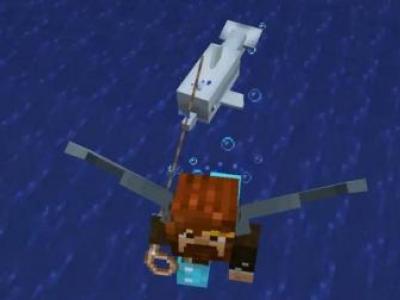 籽岷我的世界1.13原版生存小技巧第二部