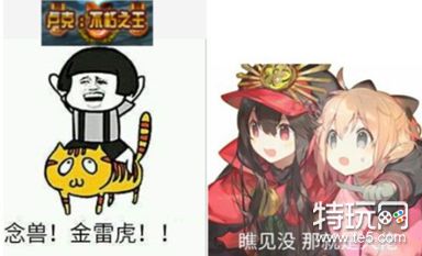 闲谈从下水道逆袭的稀有职业 骑老虎的喵帝