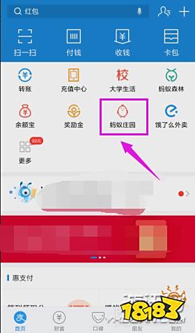 蚂蚁庄园怎么揍偷吃的小鸡?支付宝蚂蚁庄园胖