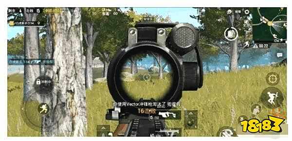 和平精英Vector全面解析