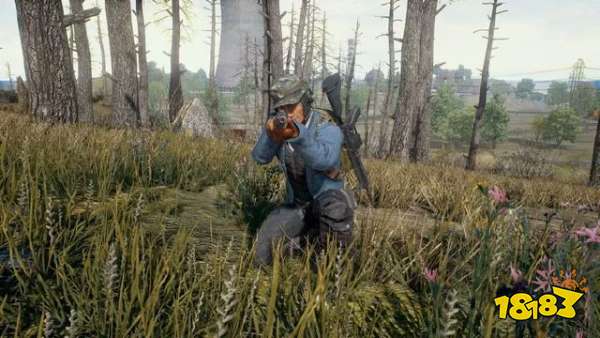 和平精英钻石头