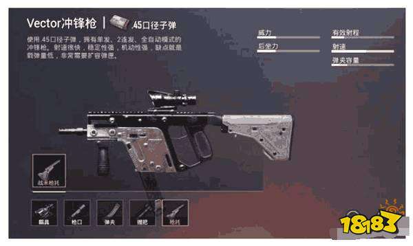 和平精英Vector全面解析