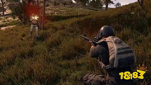 和平精英钻石头