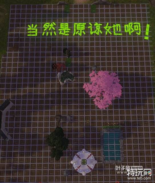 逆水寒骨牌是这样玩的窃格瓦拉摆在家中