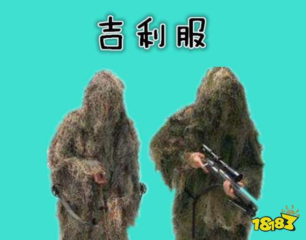 和平精英外挂和平精英稀缺物资盘点 最后一件只听过没见过