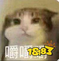 第五人格上分攻略