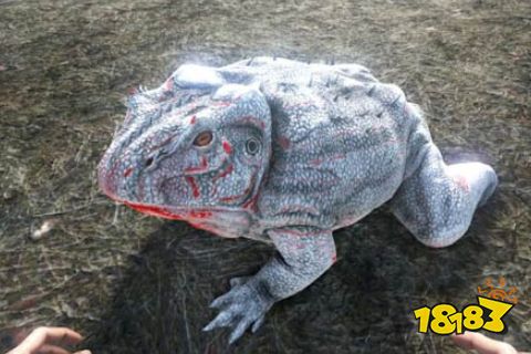 方舟生存进化魔鬼蛙驯服食物介绍