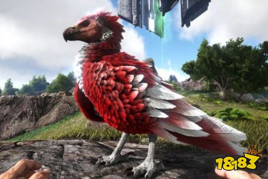 方舟生存进化阿根廷巨鹰驯服食物介绍