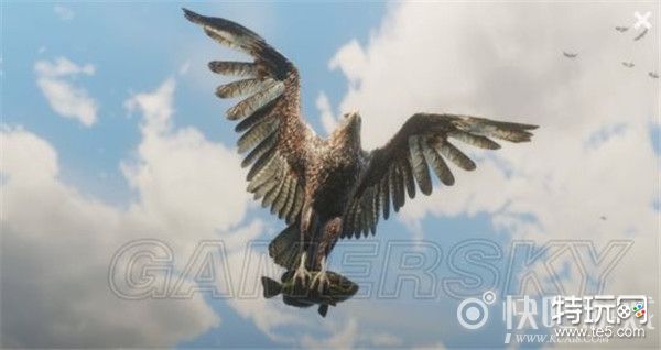 荒野大镖客2鹰爪护符属性效果攻略_2