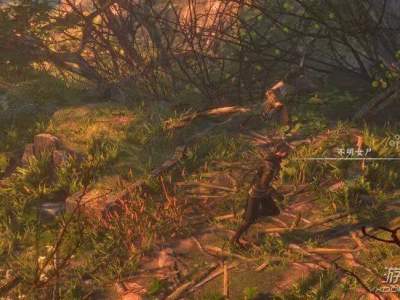 河洛群侠传爱情信差任务怎么选 爱情信差全选项结局汇总介绍