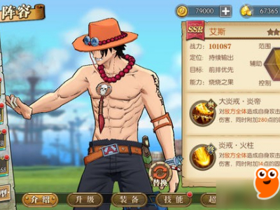 《航海王燃烧意志》二速输出角色推荐