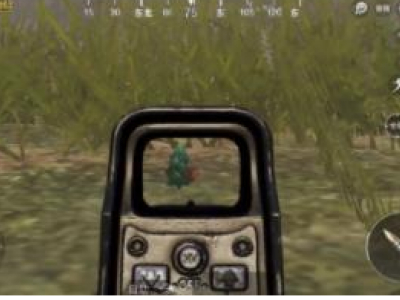 刺激战场网红小树位置