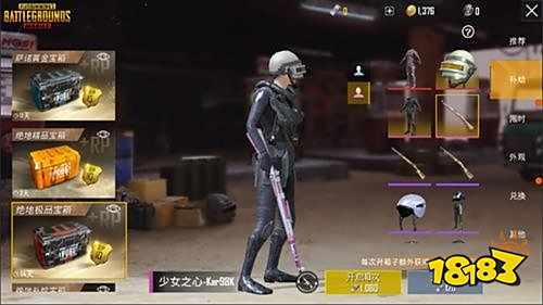刺激战场国际服皮肤大全
