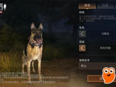 明日之后宠物狗怎么获得 宠物狗系统玩法详解