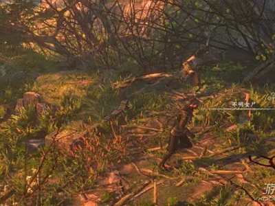 河洛群侠传爱情信差任务怎么选 爱情信差全选项结局汇总介绍