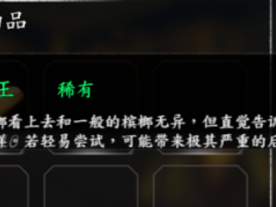 河洛群侠传NPC偷窃指南 已知可偷窃物品汇总介绍