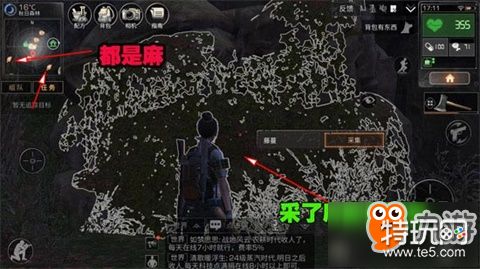 明日之后新币怎么大量获取 新币速刷技巧