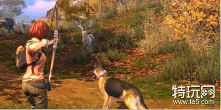 明日之后黄麻叶获取详情