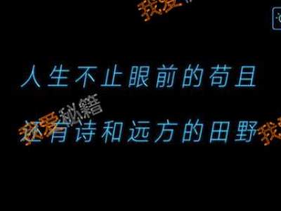 烧掉你的脑第55关人生不止眼前的苟且，还有诗和远方的田野