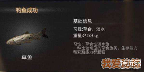 明日之後草魚獲取方法及烤草魚製作方法攻略 雪花新闻