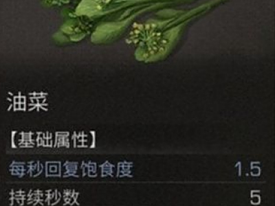 明日之后油菜作用及位置介绍